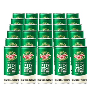 [30캔] 캐나다드라이 진저 에일 Canada Dry Ginger Ale 250ml